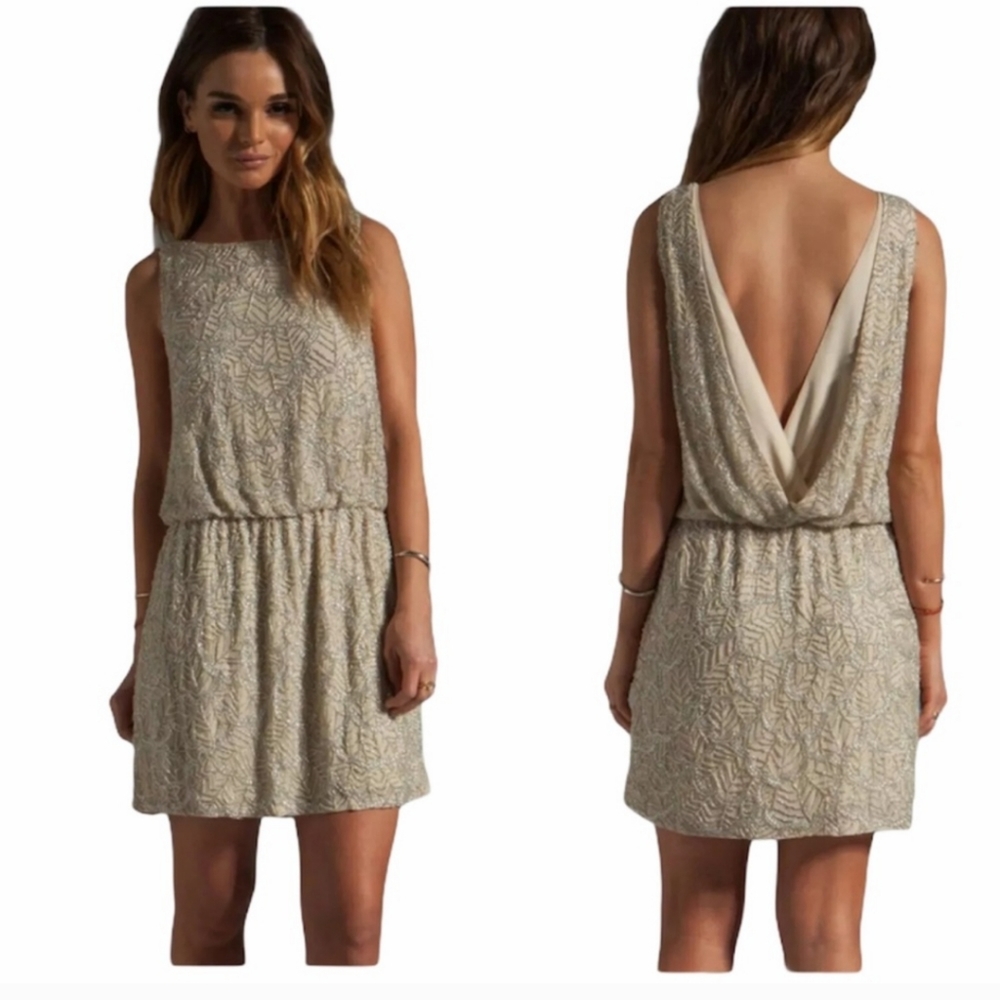 Alice + Olivia | Nola crop waist beaded dress Silk Size Large Sleeveless Lined